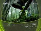 地理中国 《地理中国》 20161022 勇探无人谷（下）
