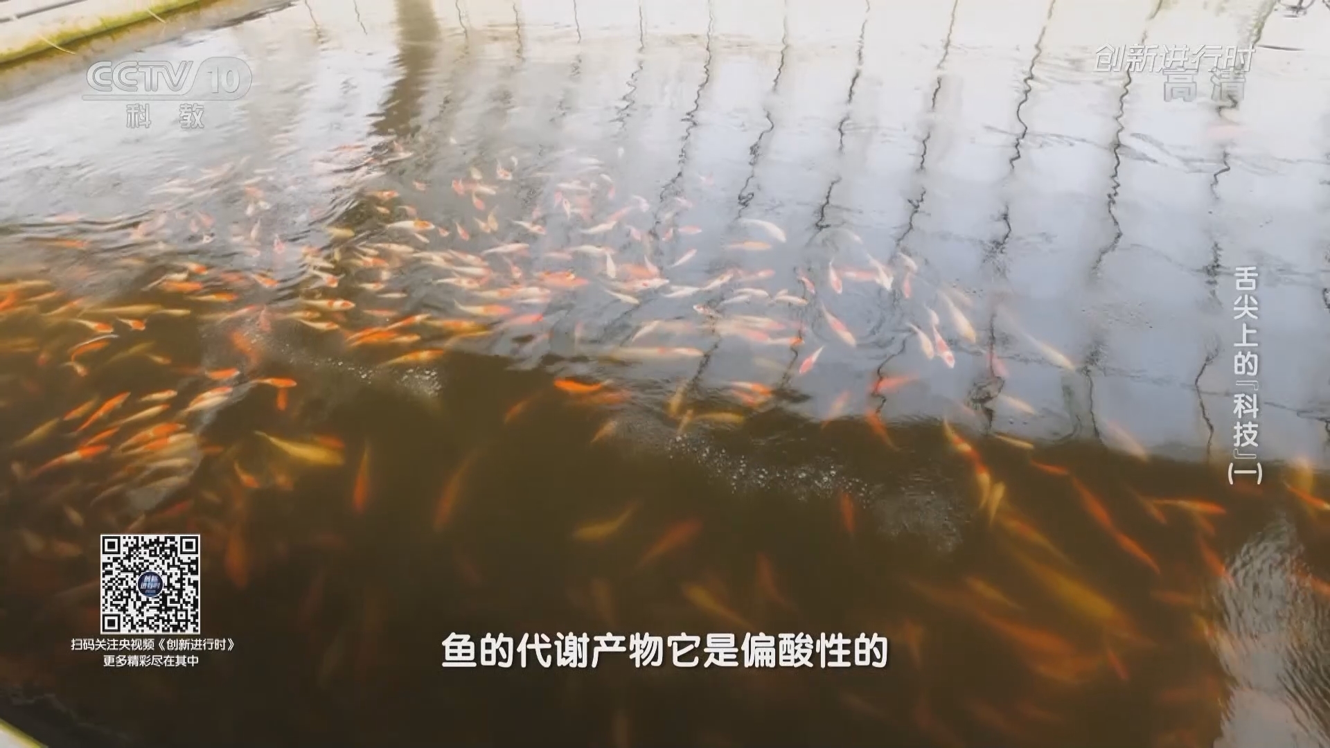 《创新进行时》 20211003 舌尖上的“科技”（一）