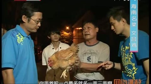 四海漫游 海口世界地质公园