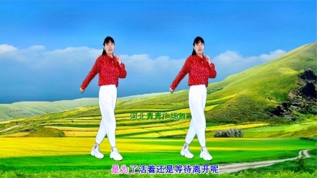 流行DJ广场舞及教学 第三季 火爆DJ广场舞《多年以后》32步附教学