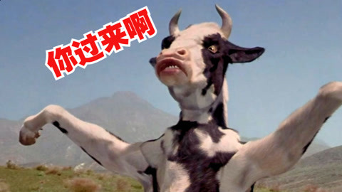 歪果仁的大脑在想什么