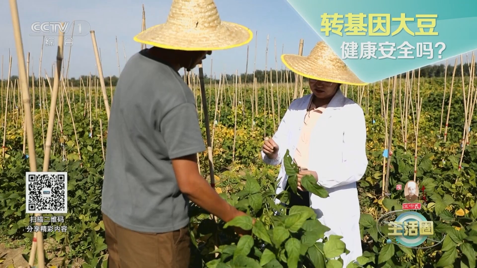 生活圈 《生活圈》 20231028