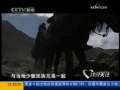 共同关注 千里边境护边人
