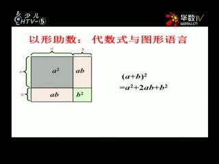 名师公开课 《数形结合思想复习课》授课教师：丁新宇