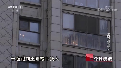 今日说法 《今日说法》 20191214 三张结婚证（下）