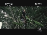 中国电影报道 《中国电影报道》 20121016
