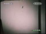 人与自然 自然启示 夜间来访者 人与自然 20101113