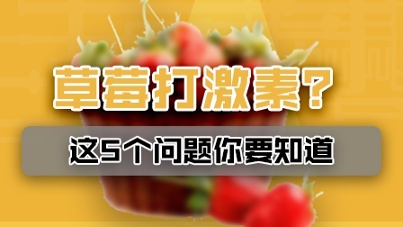 草莓个头大是因为激素？这5个问题你要知道