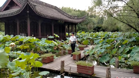 长江新闻号 长江新闻号