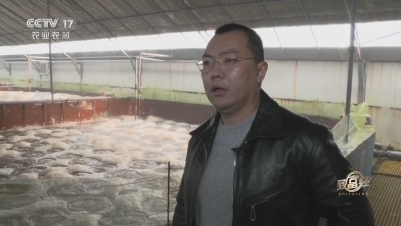 致富经 《致富经》 20230209 技术派养虾有高招