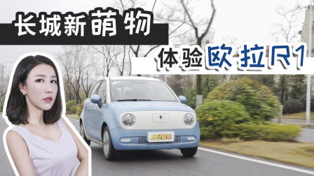 什么样的人会买这个车？长城新萌物欧拉R1