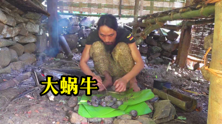 原始丛林人苏门答腊 第二季 大雨过后，丛林里找到许多大蜗牛，又可以享受一顿了！