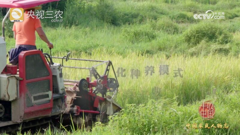 2023丰收中国 [2023丰收中国]中国农民人物志：钟振芳