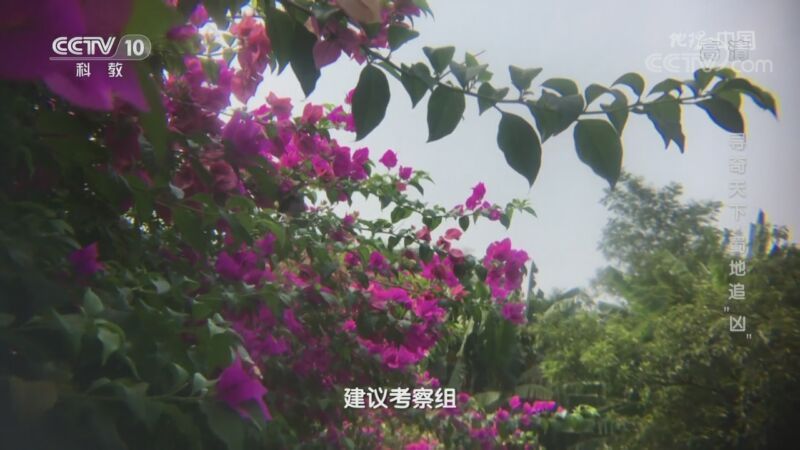 地理中国 《地理·中国》 20201010 寻奇天下·蜀地追“凶”