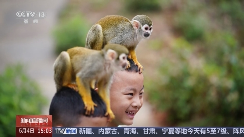 《美好生活 缤纷假日》 20250504