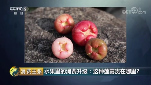 消费主张 《消费主张》 20190604 水果里的消费升级：这种莲雾贵在哪里？