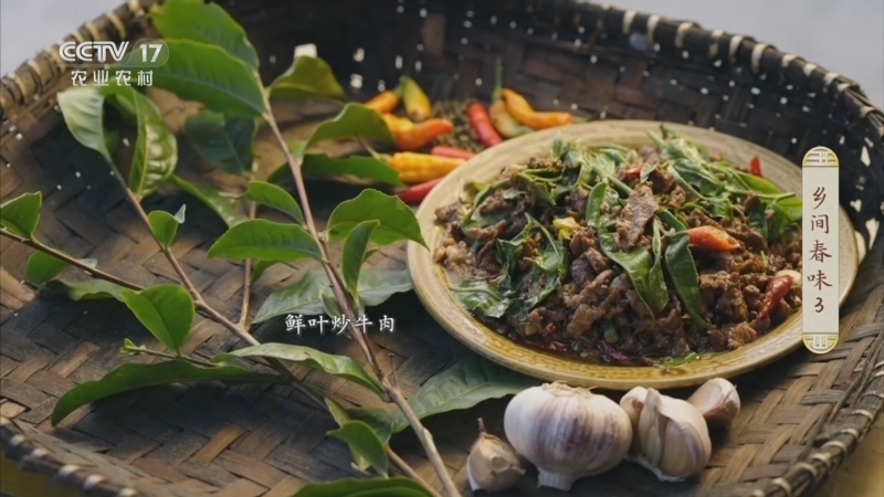 《乡土中国》 20260312 乡间春味 第3集