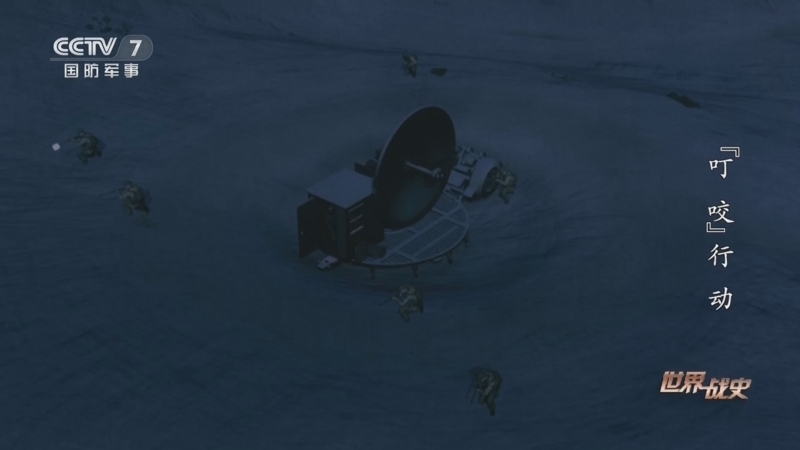 《世界战史》 20260121 “叮咬”行动