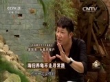 致富经 《致富经》 20151016 海归养龟不走寻常路