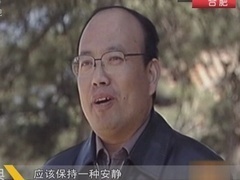 经典传奇 非常真相大拷问 雍正分陵之谜