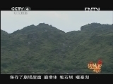远方的家 北纬30°·中国行 第八十七集 秘境黔江 《远方的家》 20121025