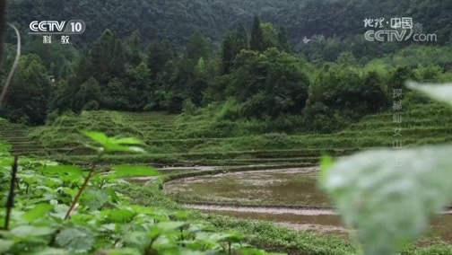 地理中国 《地理中国》 20190126 天坑奇观·探秘仙女山（上）