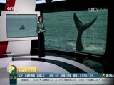环球经济连线 《环球财经连线》 20160925
