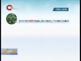 重庆新闻联播 《重庆新闻联播》 20160804