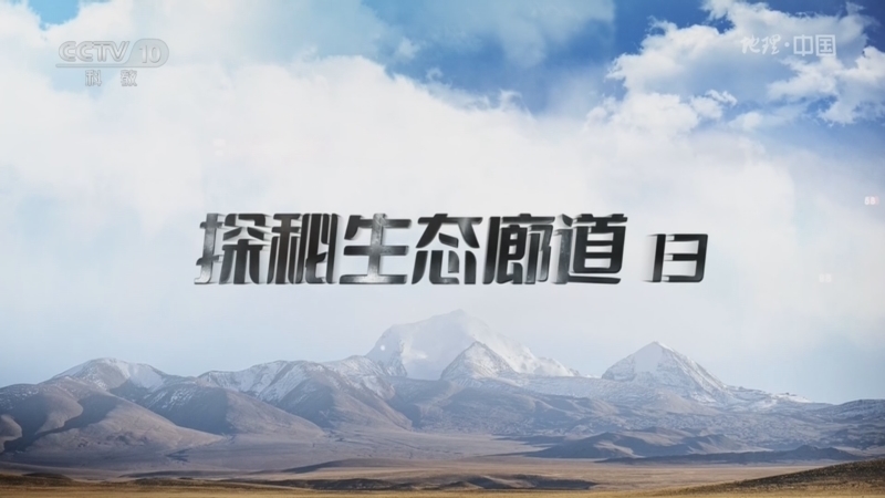 地理中国 《地理·中国》 20260530 探秘生态廊道13