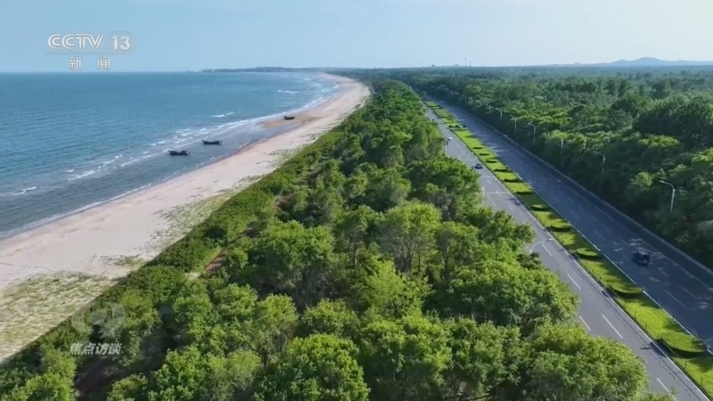 焦点访谈 《焦点访谈》 20260824 沉浸式体验“中国酷”