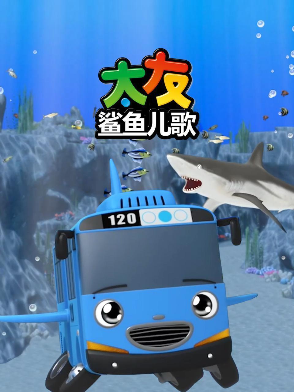 太友鲨鱼儿歌