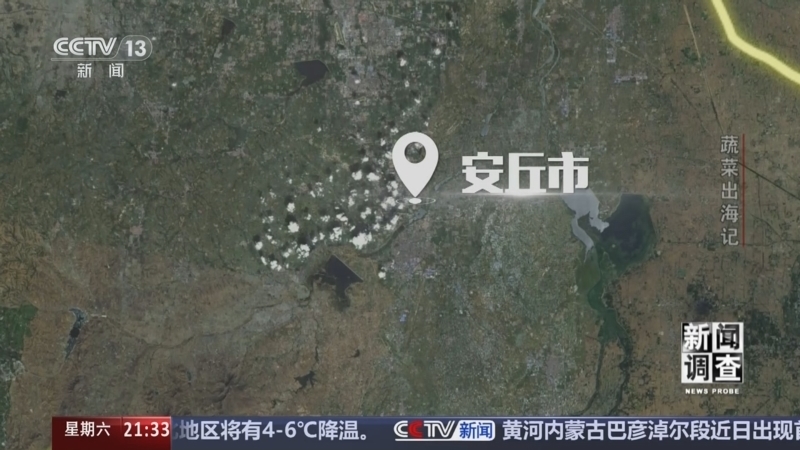 《新闻调查》 20251206 蔬菜出海记