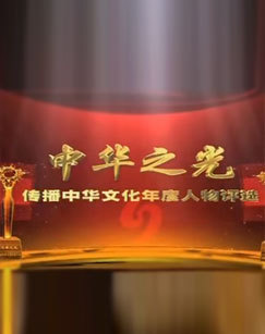 2014中华之光-传播中华文化年度人物评选