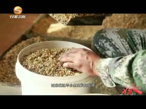 好人在身边 《好人在身边》 20151018