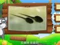 看图识物 金鱼 蝌蚪 鲶鱼