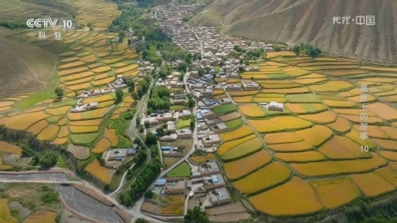 《地理·中国》 20260411 高原上的故事10