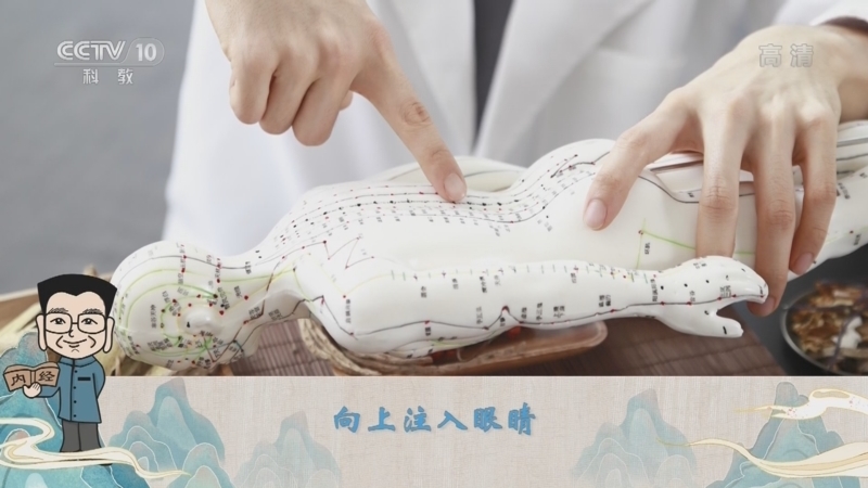 百家讲坛 《百家讲坛》 20220319 了不起的《黄帝内经》 18 以小见大查舌目