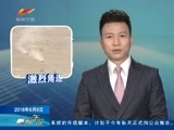 新闻午报-新疆