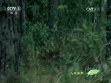 人与自然 《人与自然》 20160920 绝处逢生——巨石惊魂（下）