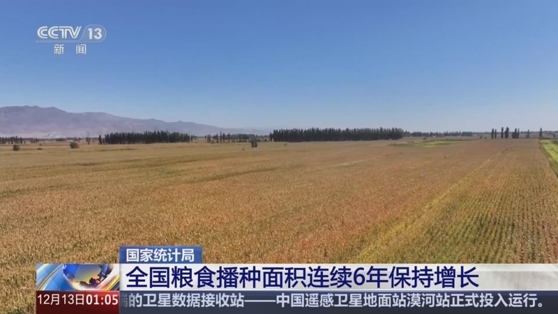 新闻直播间 《新闻直播间》 20251213 01:00