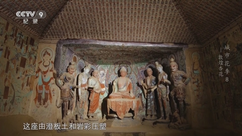 《城市花季》 第8集 敦煌杏花