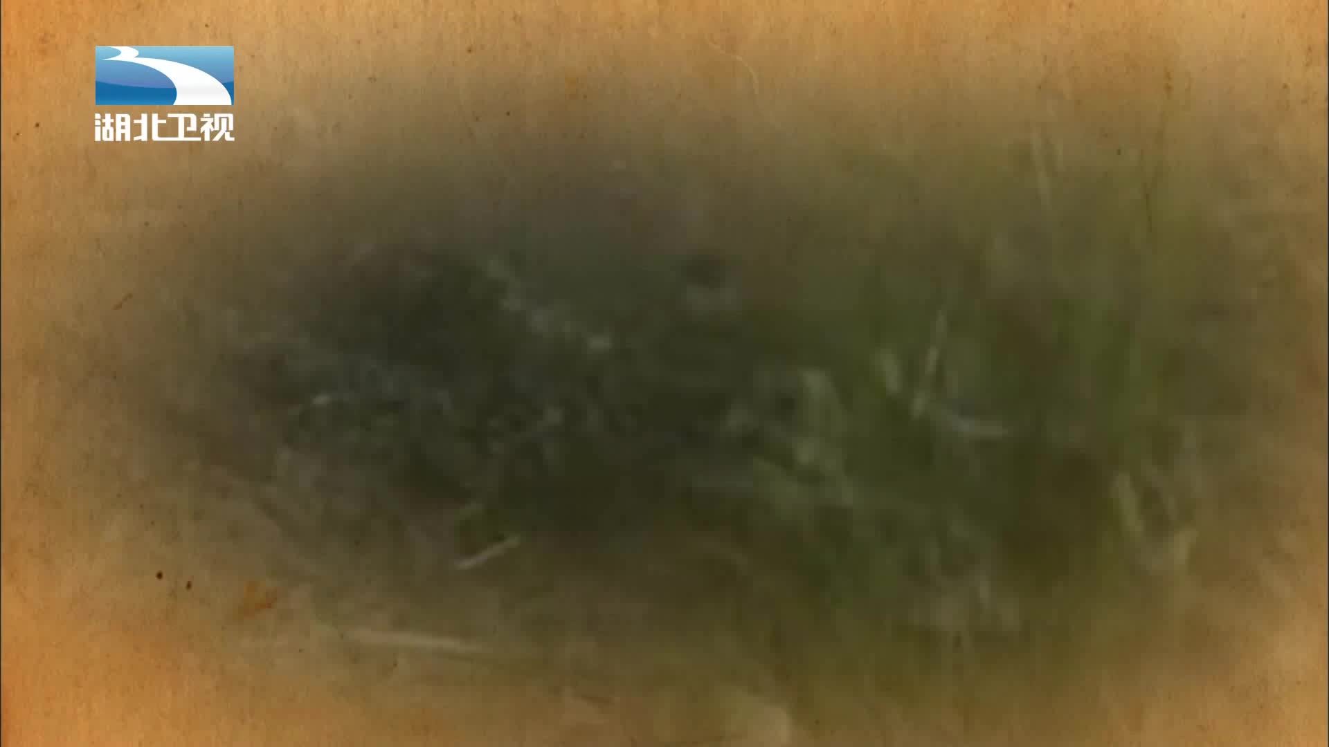 伟大长征 《伟大长征》第7集