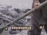 致富经 《致富经》 20151009 奇遇黑泥里的跳跳鱼之后