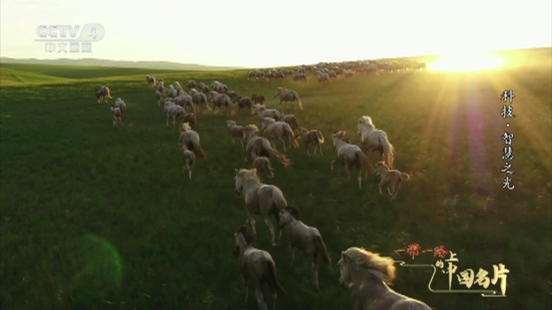 《一带一路上的中国名片》 第6集 科技·智慧之光