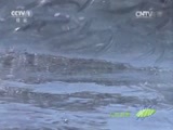 人与自然 《人与自然》 20150228 自然发现：蓝色星球——海岸（上）