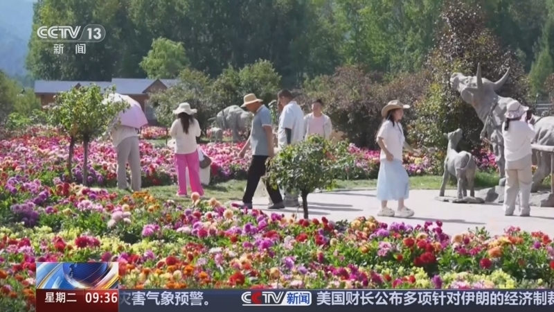 新闻直播间 《新闻直播间》 20260825 09:00