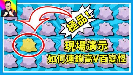 酷爱精灵宝可梦 第一季 现场演示如何连锁高个体值的百变怪  孵蛋必备