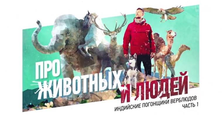 印度骆驼饲养者