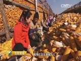 生财有道 《生财有道》 20151202 生态中国系列（边关行）：走进生态珲春（下）