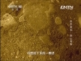 地理中国 《地理中国》 20130611 自然奇观·深山寻宝